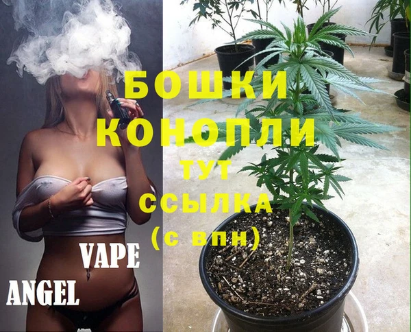 гидропоника Алзамай