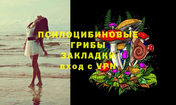 таблы Алексин