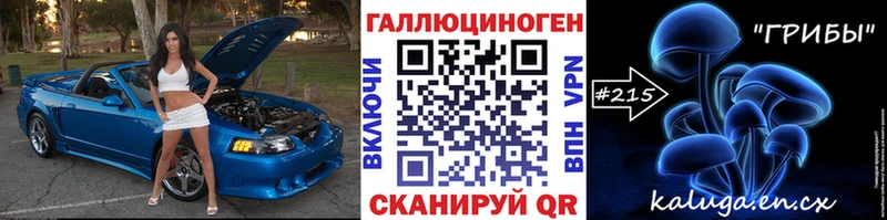 Псилоцибиновые грибы Psilocybine cubensis Кольчугино