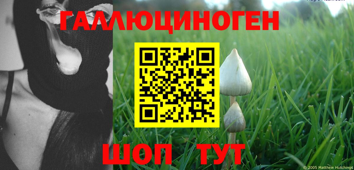 Кольчугино  Галлюциногенные грибы мухоморы  Вход с VPN 