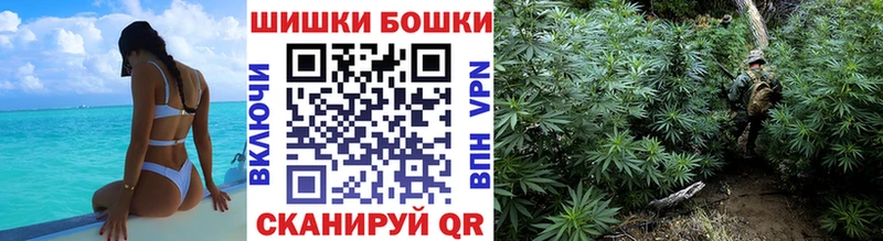 Канабис Bruce Banner  Кольчугино 